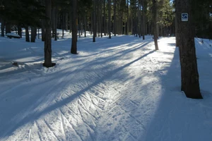 Nordic Ski