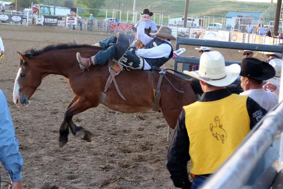PhotoFest: State Rodeo Finals